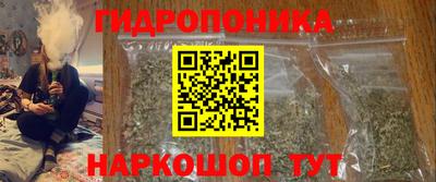крисы Тула