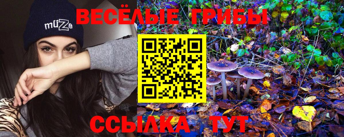 Галлюциногенные грибы мухоморы Новокубанск