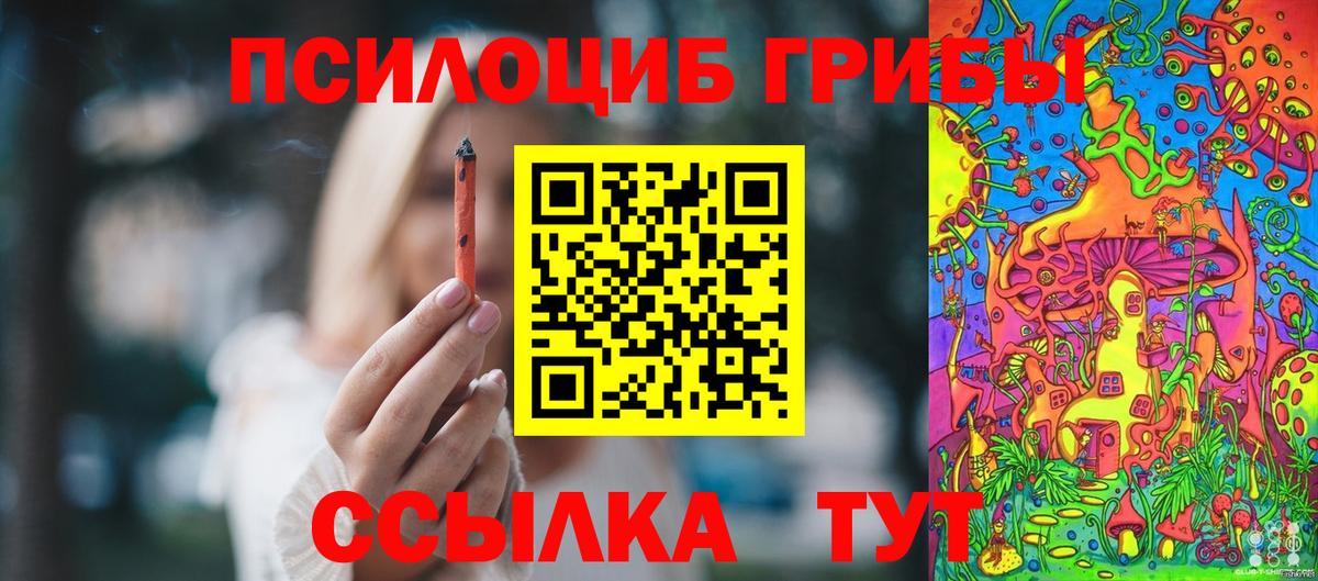 Новокубанск  Псилоцибиновые грибы мицелий  Вход с VPN 